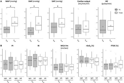 Low Dosing Norepinephrine Effects on Cerebral Oxygenation and Perfusion During Pediatric Shock